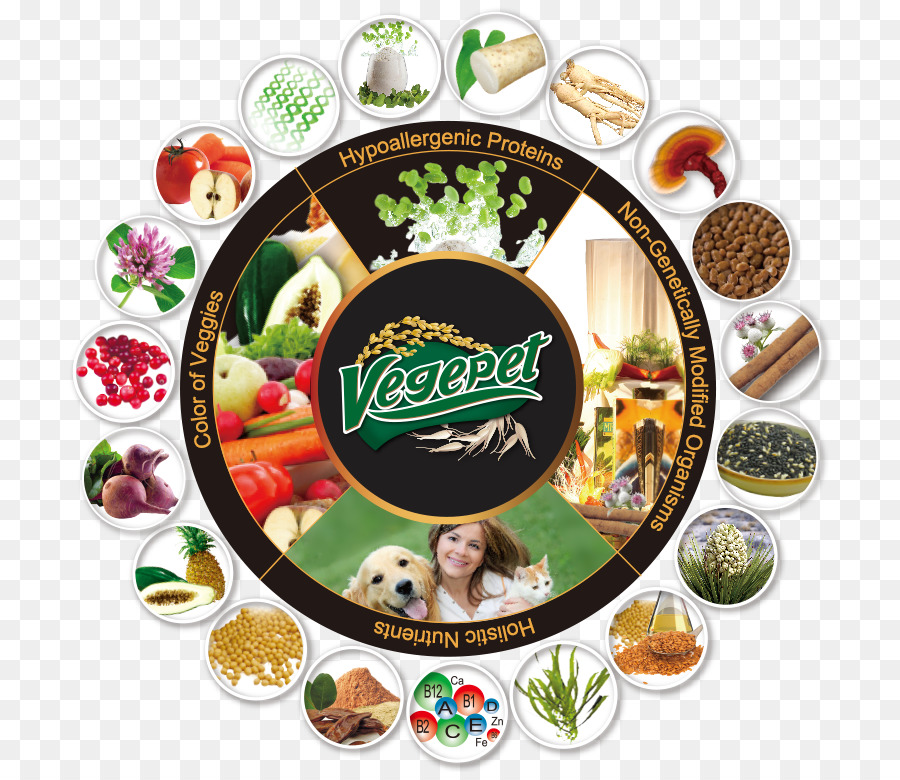 Cuisine Végétarienne，Chat PNG