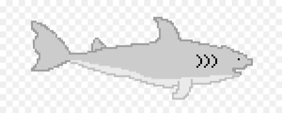 Requiem Requins，Requin PNG