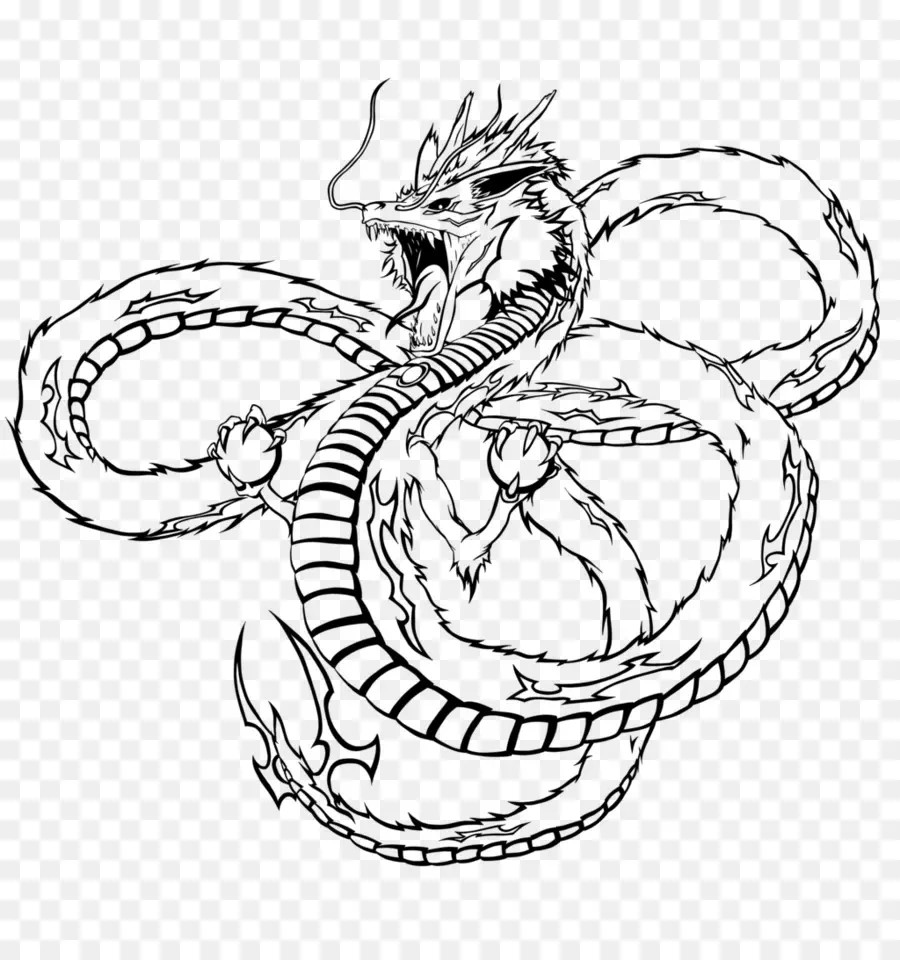 Dragon，Serpent PNG