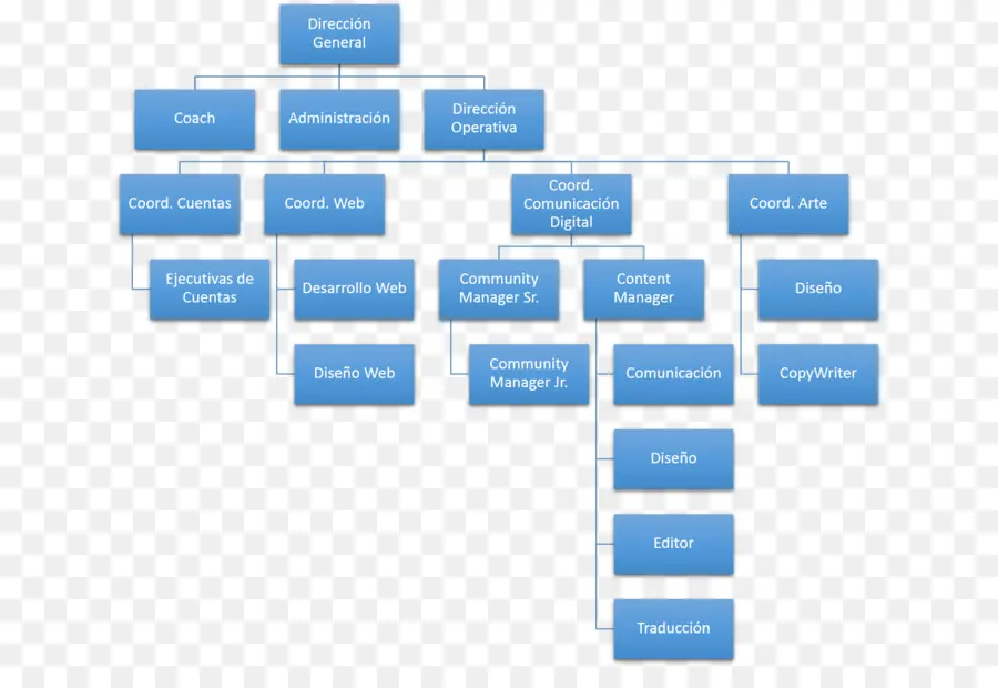 Organigramme，Structure PNG