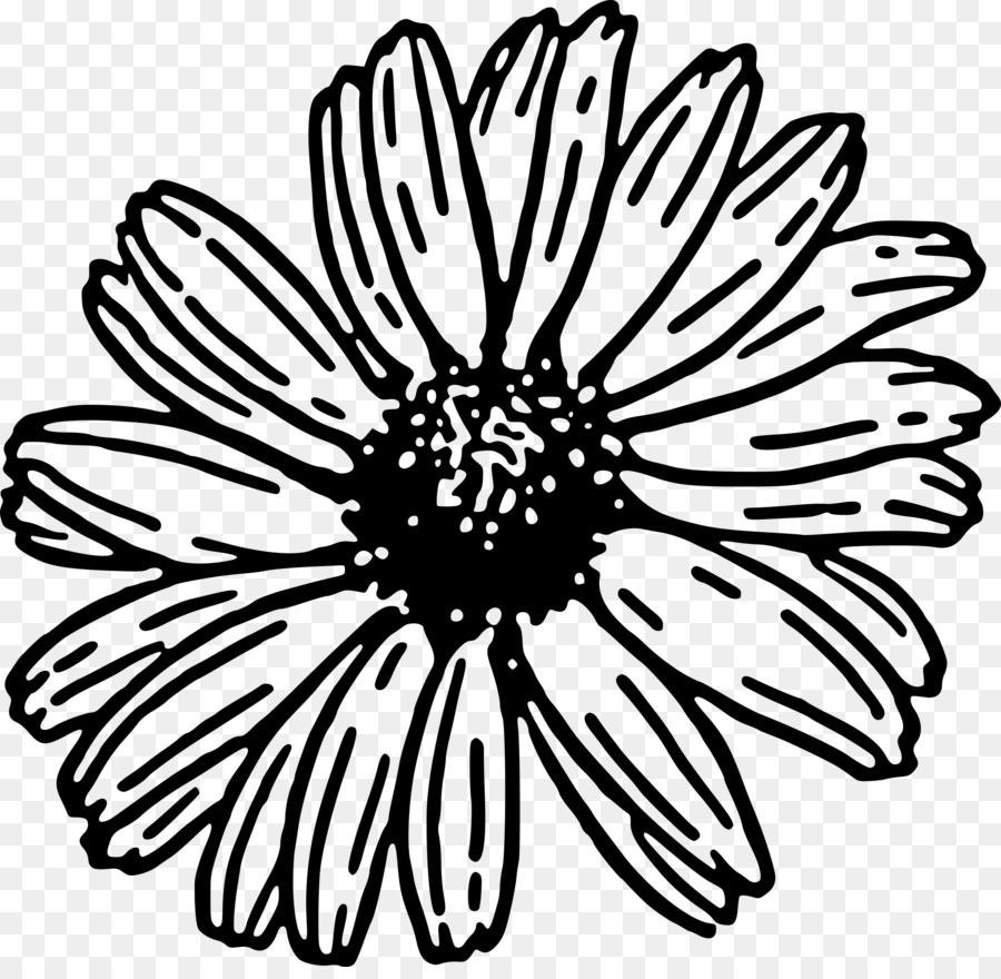 Fleur Noire Et Blanche，Noir Et Blanc PNG