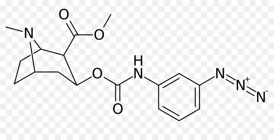 Coca Alcaloïde，Tropane PNG