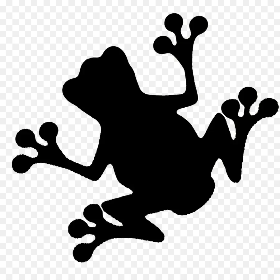 Grenouille，Grenouille Et Crapaud PNG