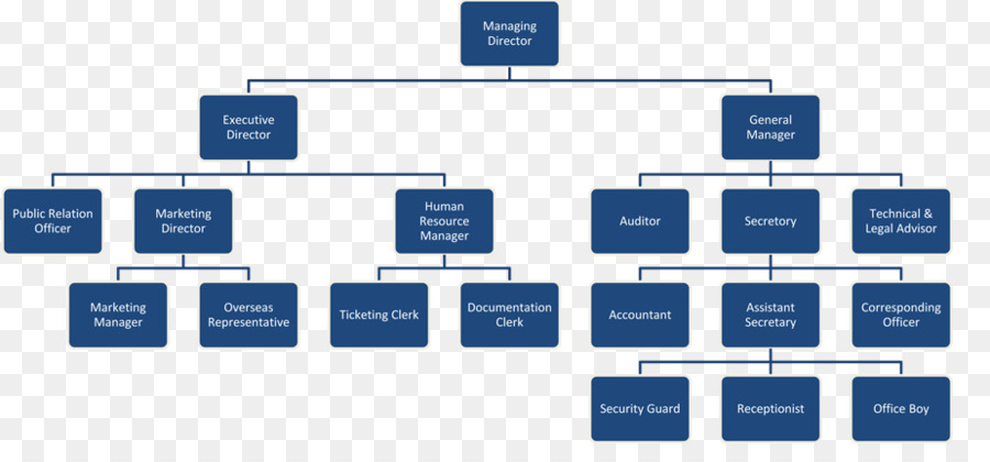 Organigramme，Organisation PNG