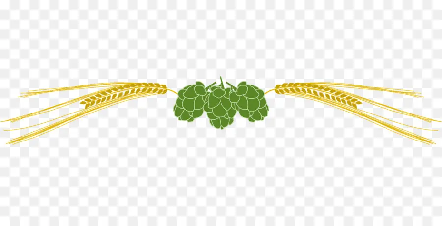 Blé Et Houblon，Grain PNG