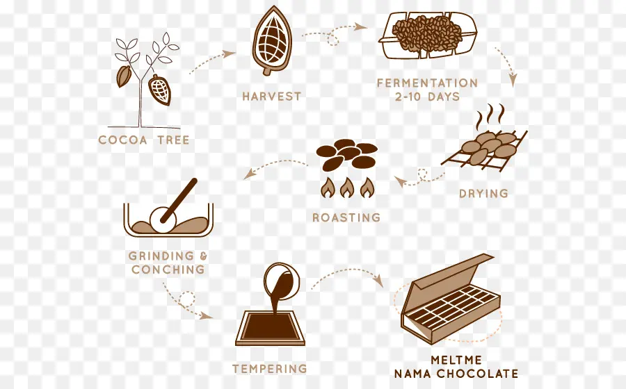 Processus De Production De Chocolat，Cacao PNG