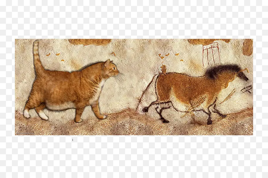 Peinture De Chat Et De Grotte，Félin PNG