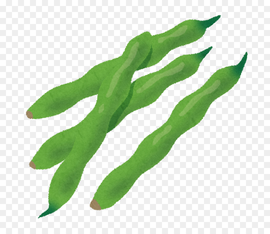 Le Haricot Commun，Haricots Verts PNG