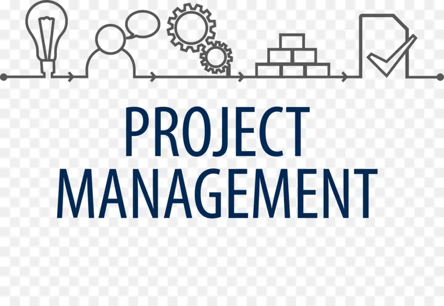 Gestion De Projet，Entreprise PNG