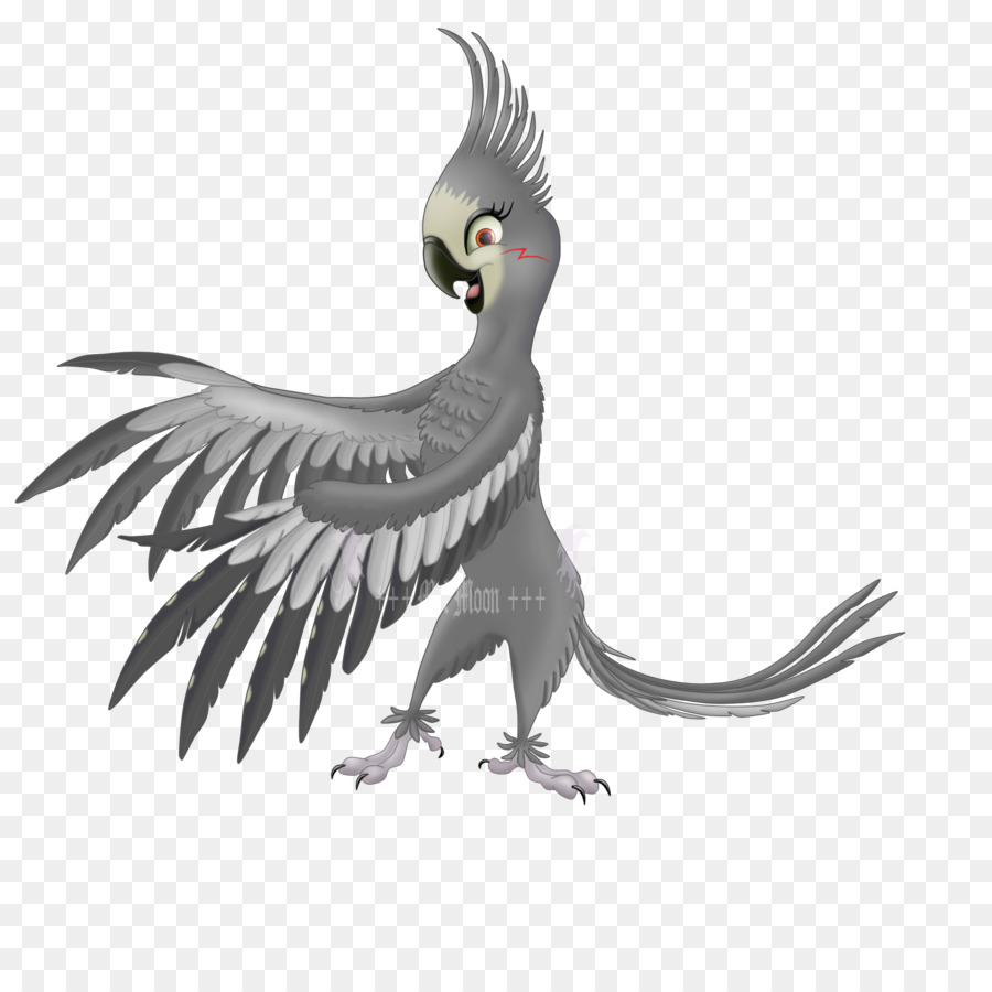 Oiseau Gris，Plumes PNG