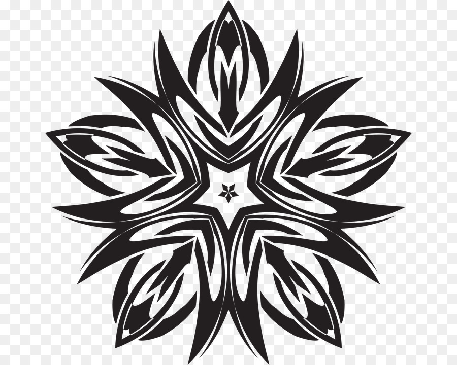 Motif Floral Noir，Étoile PNG