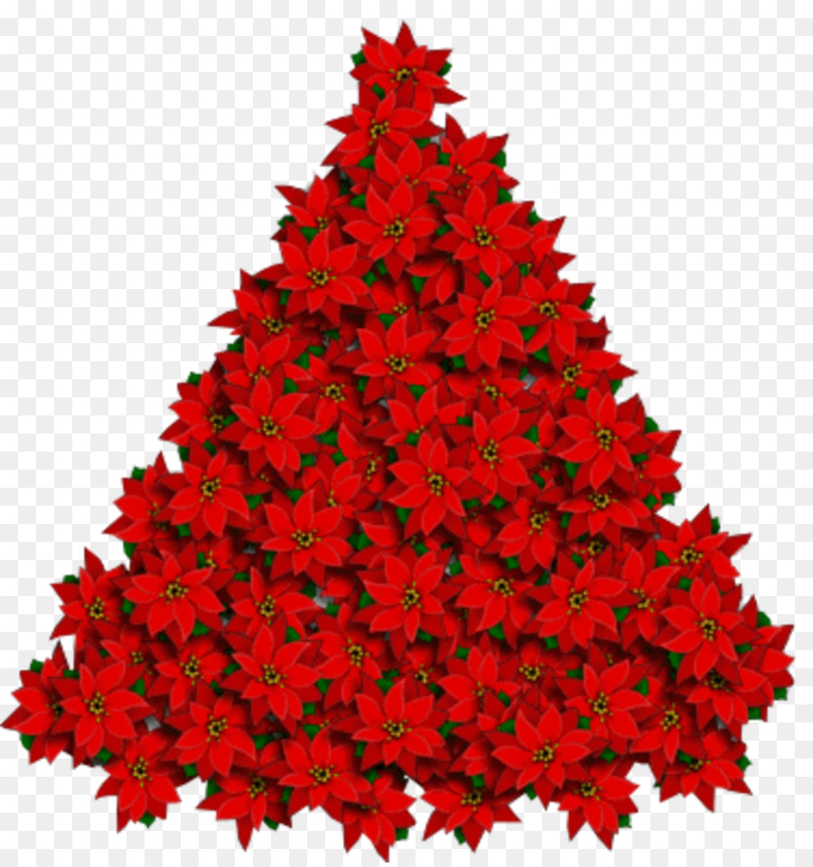 Poinsettia，Fleurs PNG