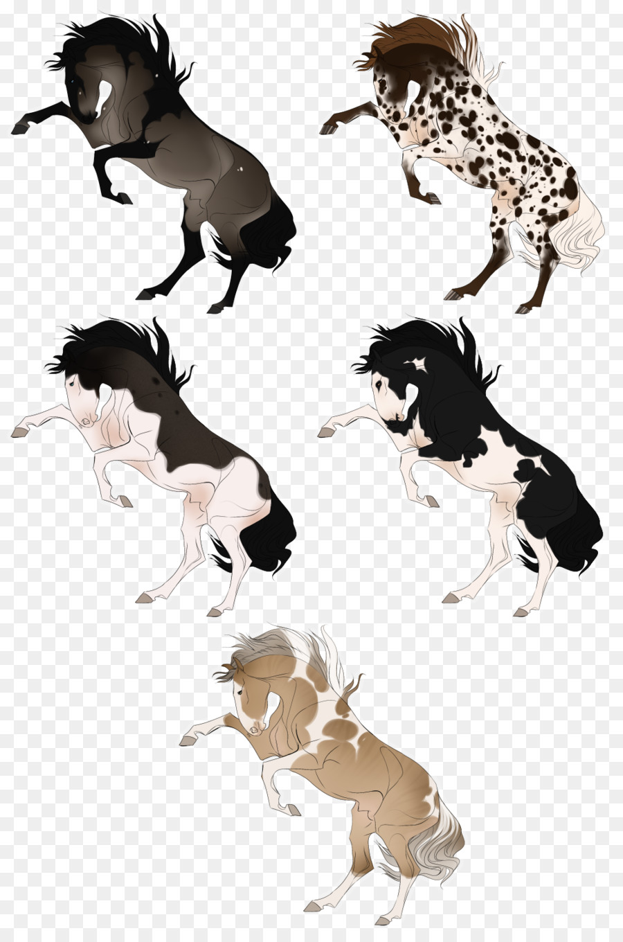 Cheval，Chien PNG