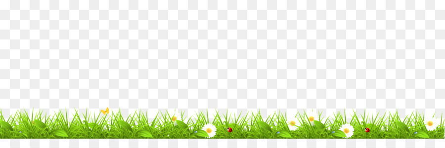 Bordure D'herbe，Fleurs PNG