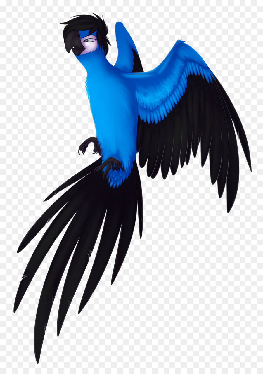 Oiseau，Plumes PNG