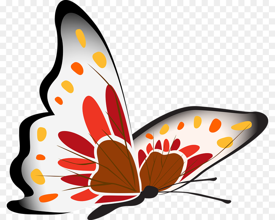 Papillon，Ailes PNG