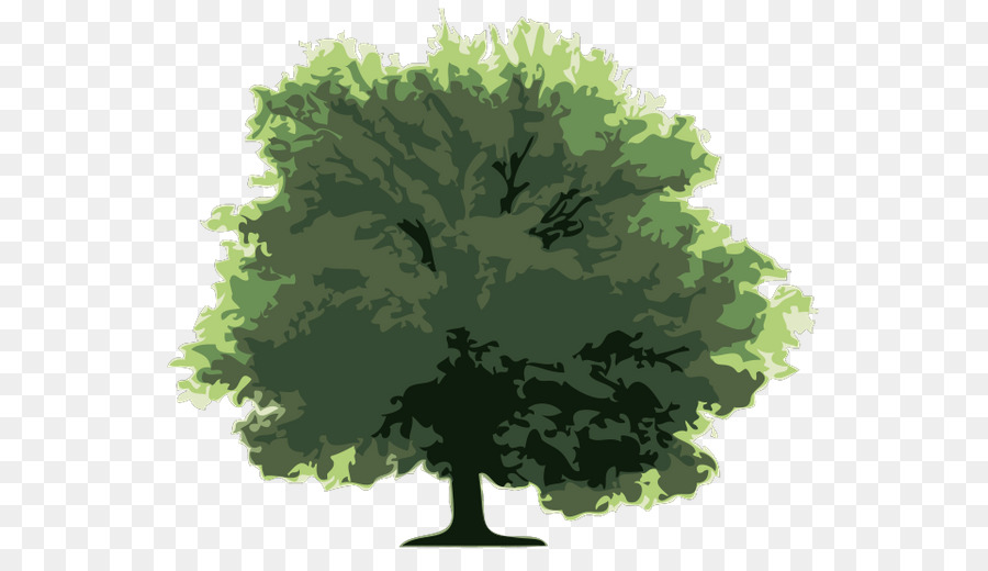 Arbre Vert，Nature PNG