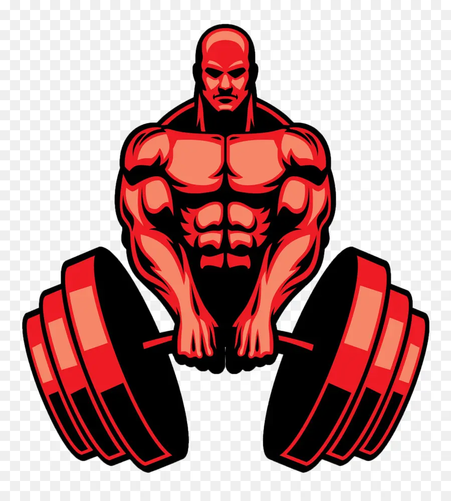 Musculation，Muscle PNG