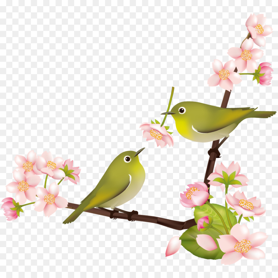 Fleur De Cerisier，Japonais Whiteeye PNG