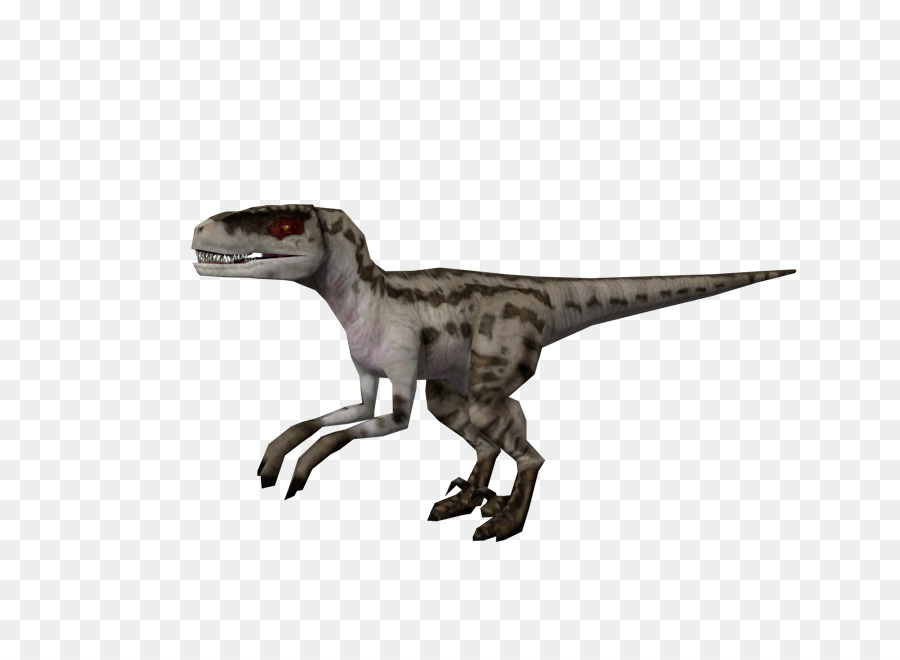 Velociraptor，Jurassic Park Opération Genesis PNG