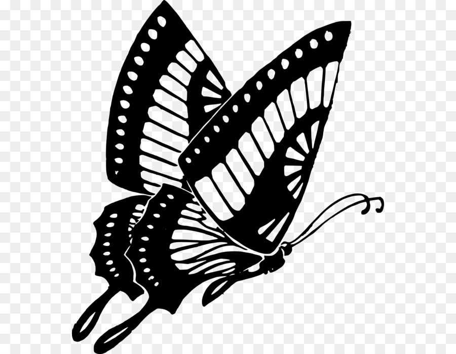 Papillon，Noir Et Blanc PNG