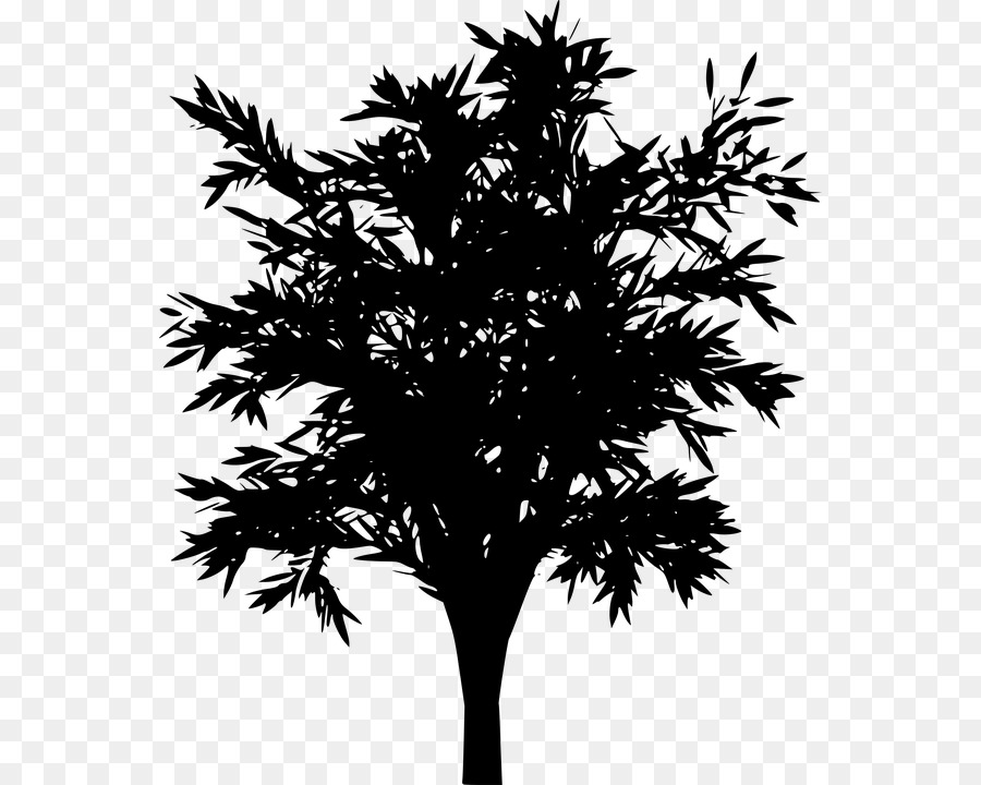 Silhouette D'arbre，Noir PNG