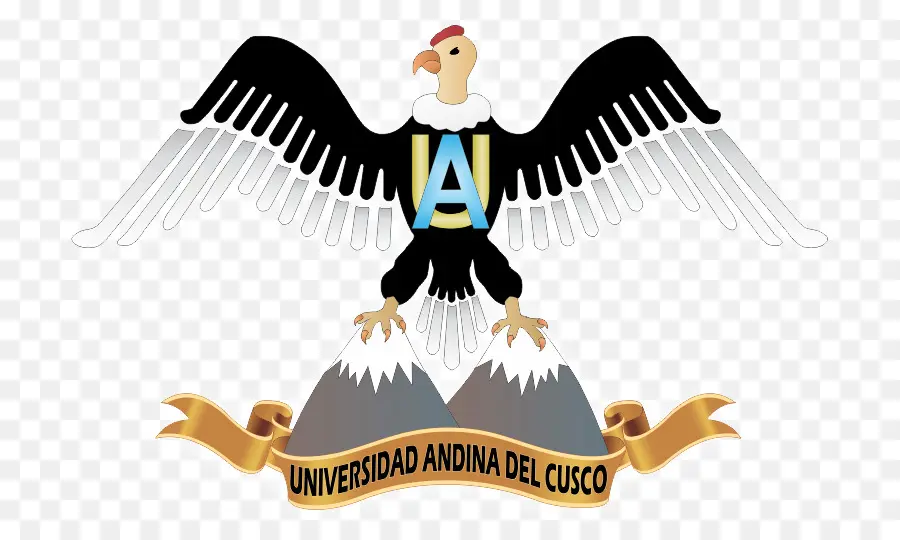 La Faculté Du Génie De La Communauté Andine De L Université De Cusco，L Université Nationale De Saint Antoine Abbé à Cuzco PNG