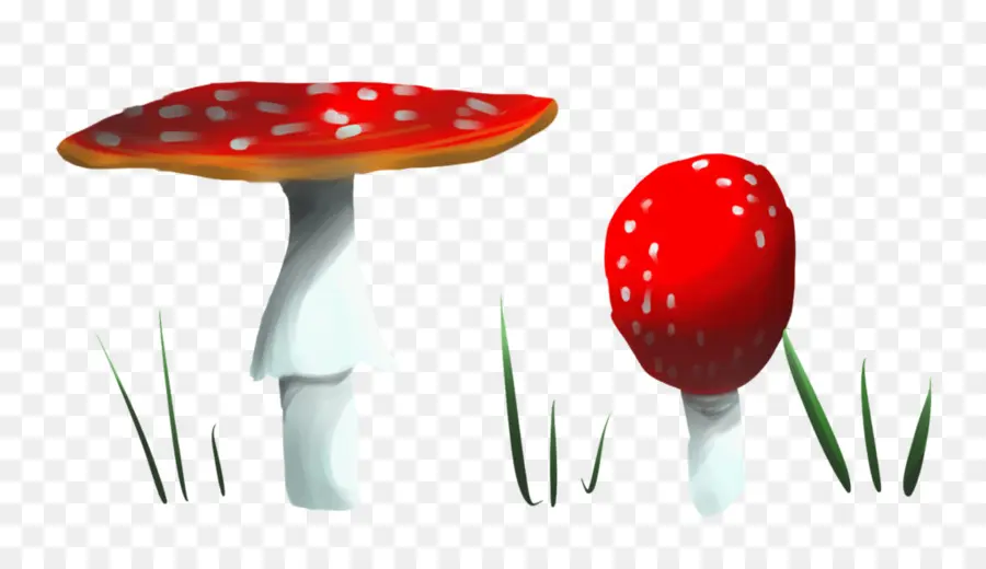 Champignon Rouge，Taches PNG