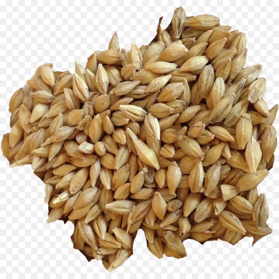 Grains，Graines PNG