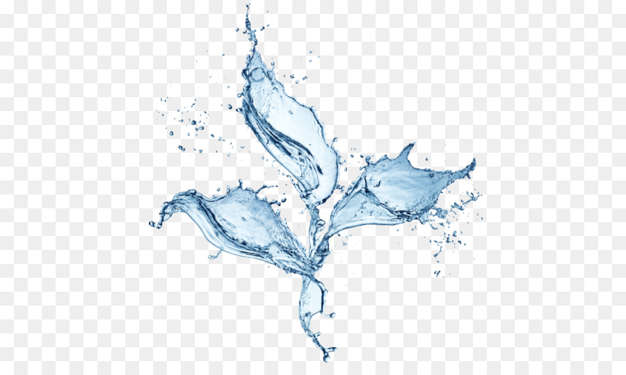 Papillon D'eau，Papillon PNG