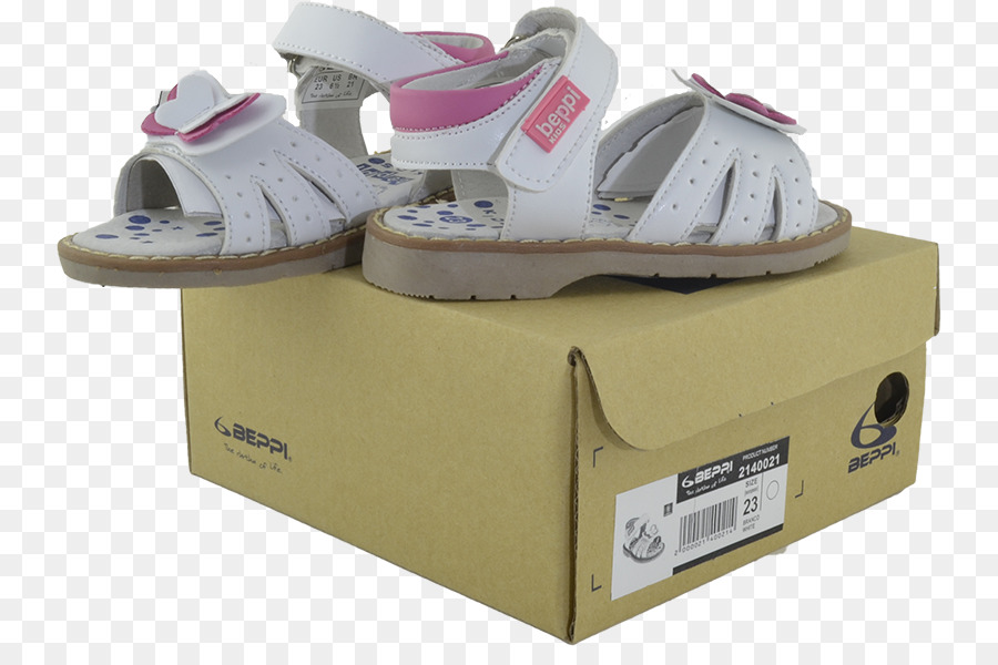 Carton，Chaussure PNG