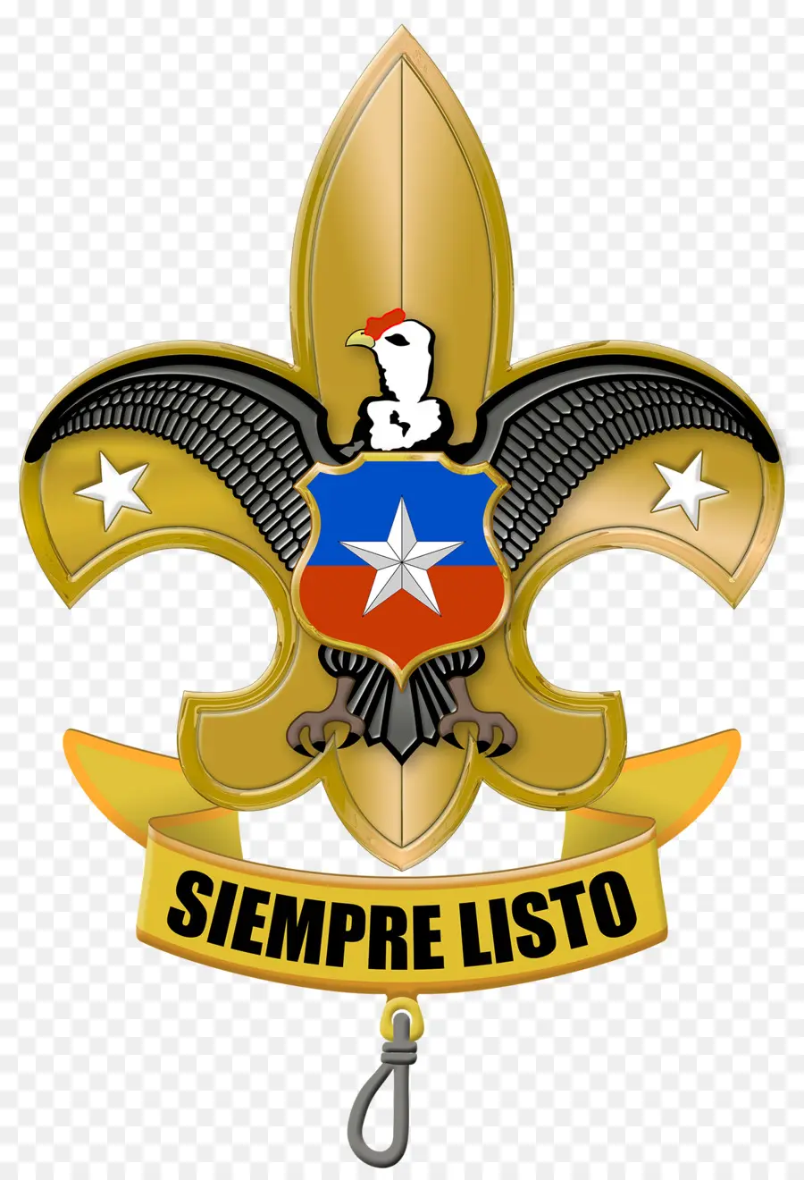 Association Nationale Des Scouts Du Chili，Le Scoutisme PNG