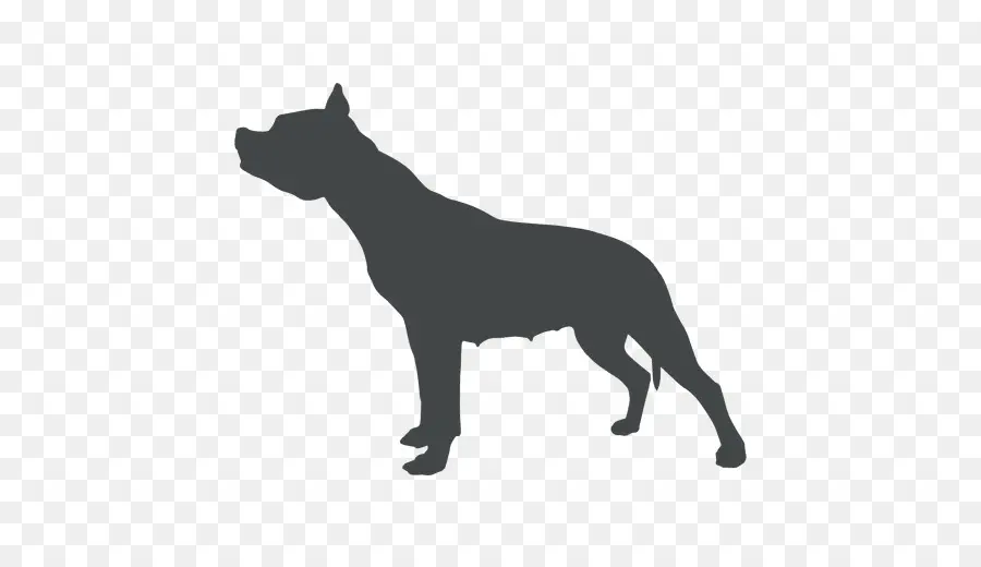 Chien，Animal De Compagnie PNG