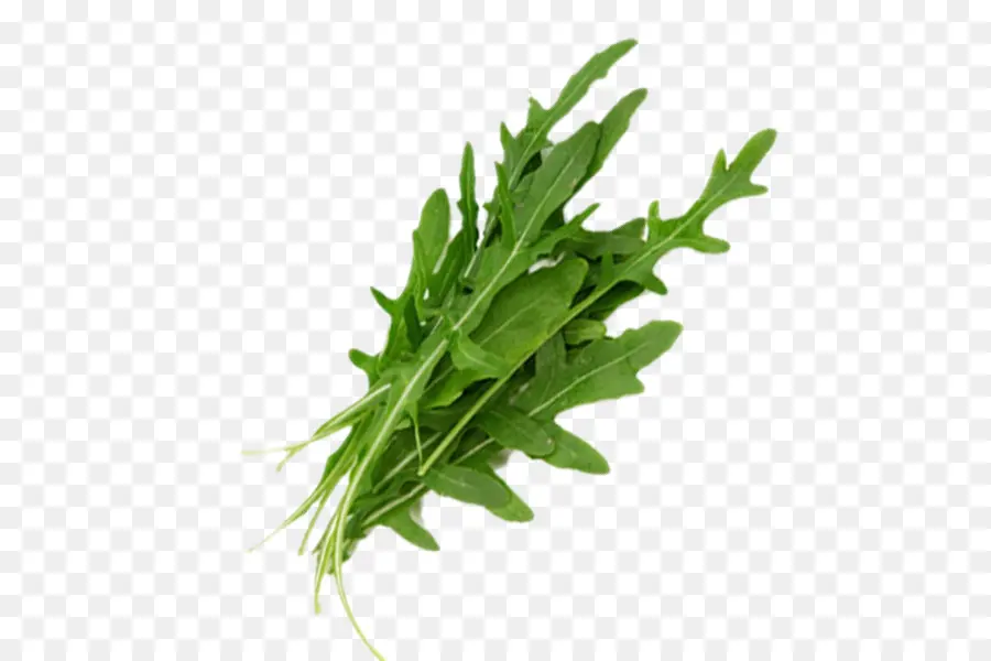 Légumes，Printemps Verts PNG