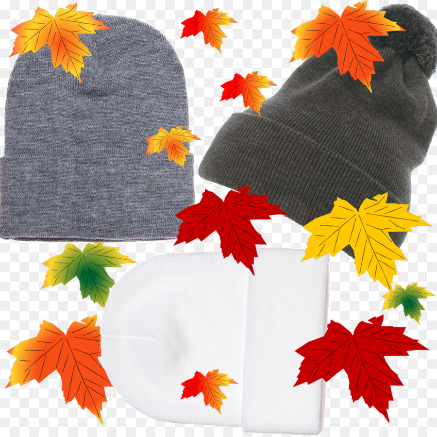 Casquette En Tricot，Feuille PNG