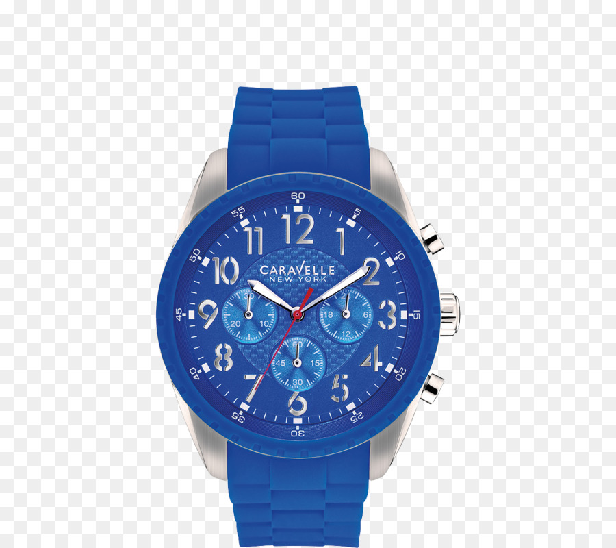 Ice Watch，Regarder PNG