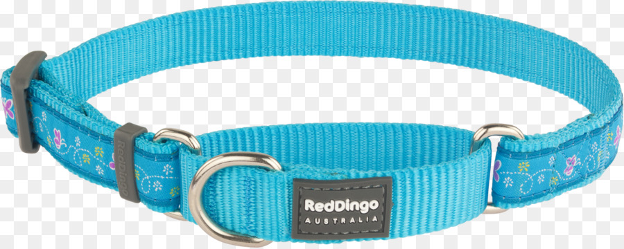 Collier Pour Chien Bleu，Boucle PNG