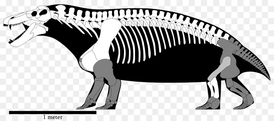 Le Tyrannosaure，Yutyrannus PNG