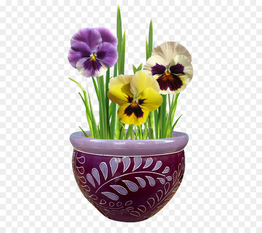 Fleurs，Mis En Pot PNG