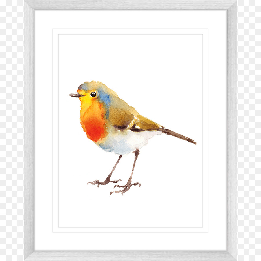 Oiseau，Aquarelle PNG