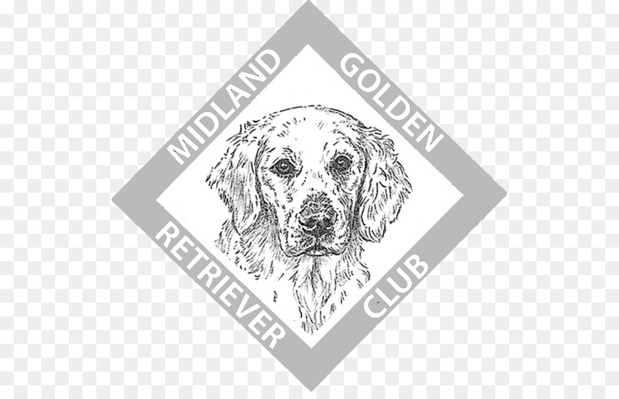 Race De Chien，Retriever PNG