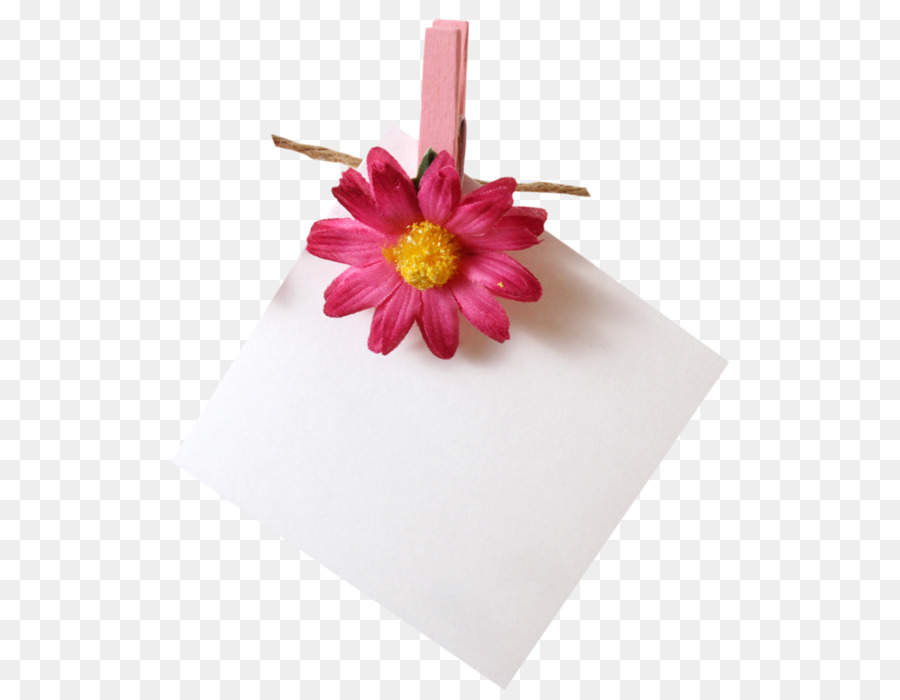 Pince à Fleurs，Note PNG