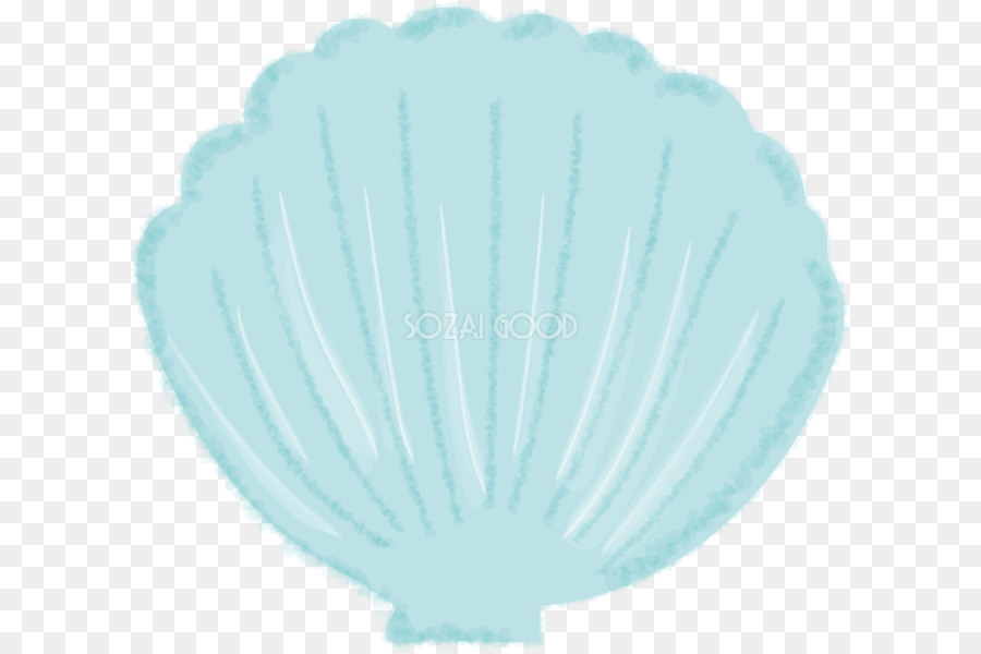 Illustrator，Coquillage PNG