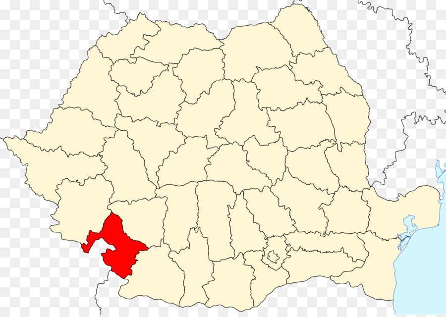 Carte，Braila PNG