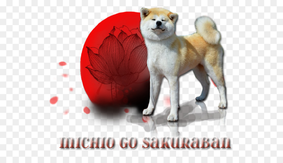 Chien Et Lotus，Shiba Inu PNG