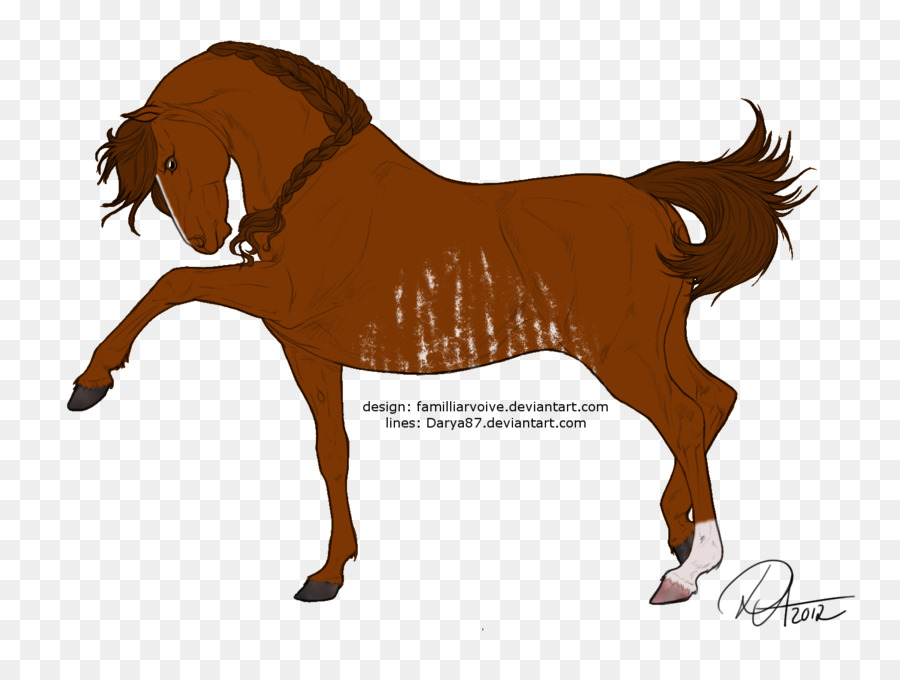 Poulain，Poney PNG