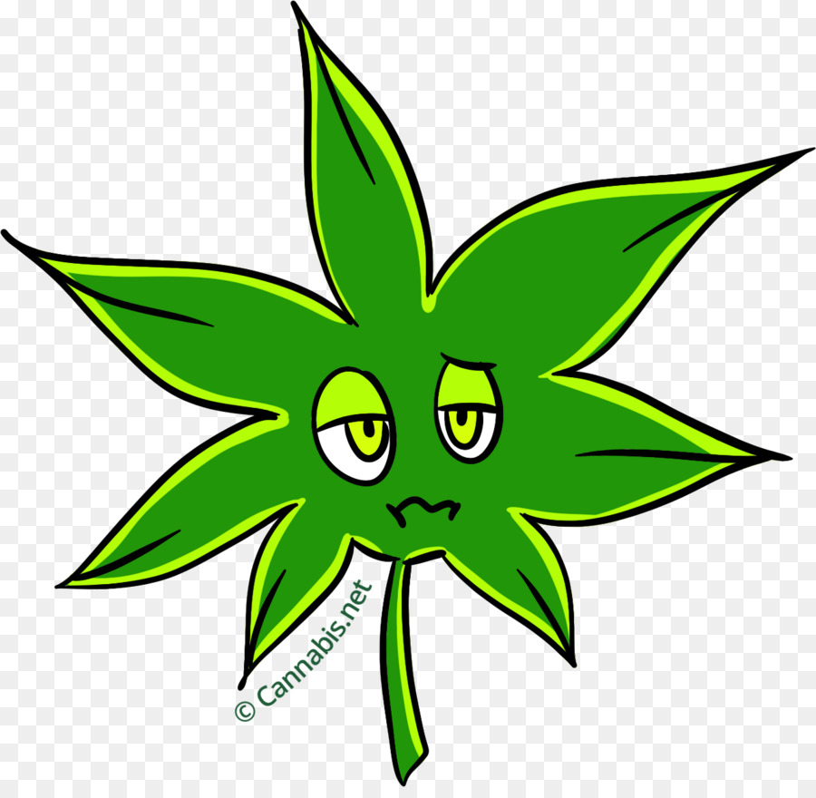 Le Cannabis，Kush PNG