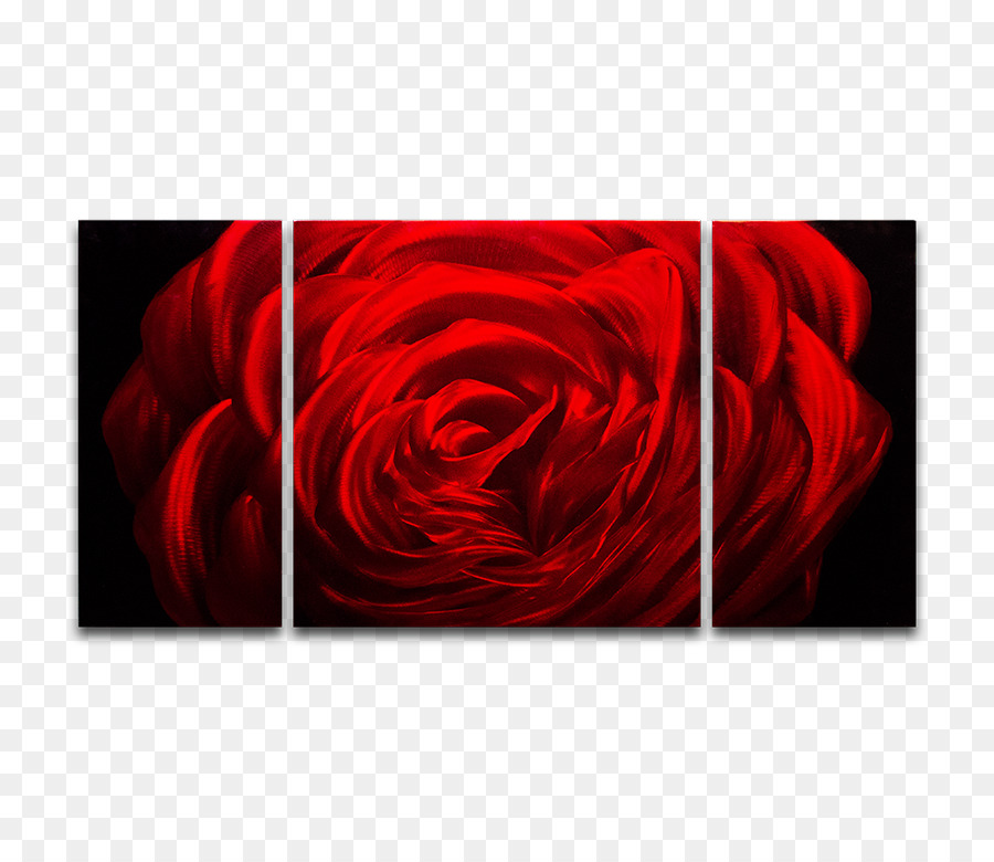 Les Roses De Jardin，Serpents Et échelles PNG