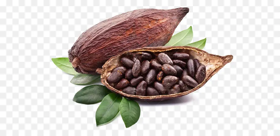 Fèves De Cacao，Cosse PNG