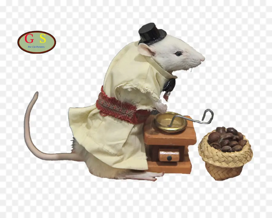 Souris，Vêtements PNG